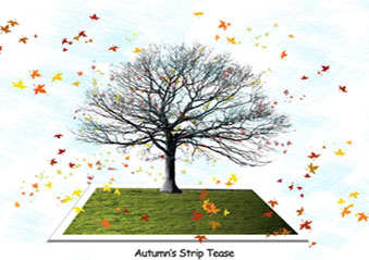 Autumn Time