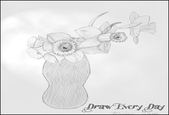 Draw Every Day