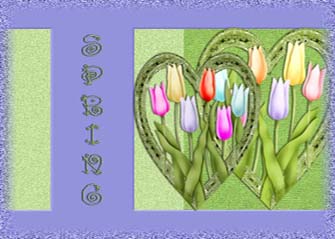 Spring Tulip