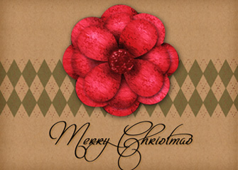 Merry Christmas Flower