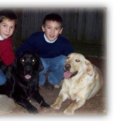 Matthew and Connor, Davis and Bailey